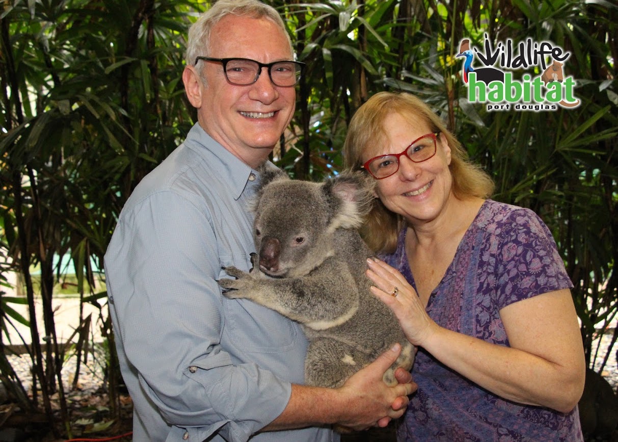 australia/new zealand viking cruise
